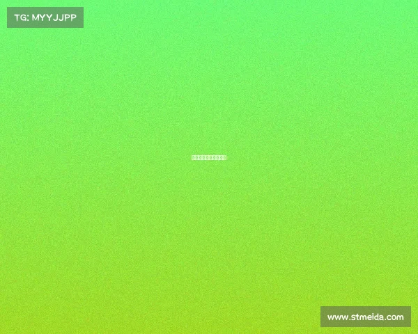 国内拉力赛赛事有哪些